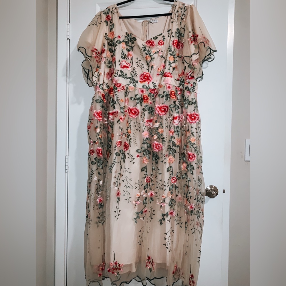 5X Ivy City Co Flora Blush Floral Maxi Dress